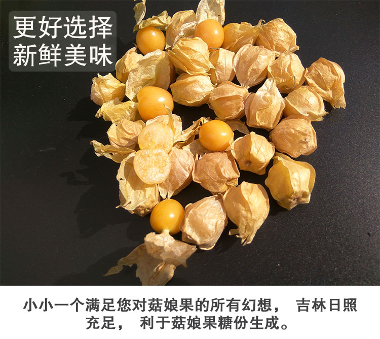 新鲜洋菇娘果东北黄姑娘果灯笼果菇凉果新鲜现摘姑娘果精选大果带箱5