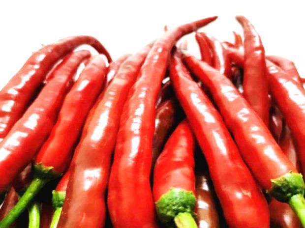 湖南衡阳新鲜红辣椒 二荆条 天然蔬菜2斤 农家自种健康食品 湖南衡阳