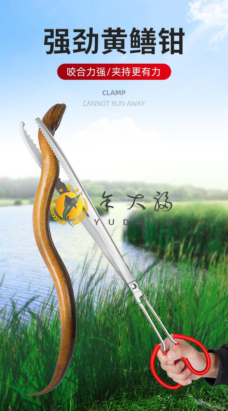 黄鳝夹不锈钢黄鳝夹子鳝鱼夹泥鳅螃蟹钳子防滑防脱抓捉专用工具赶海