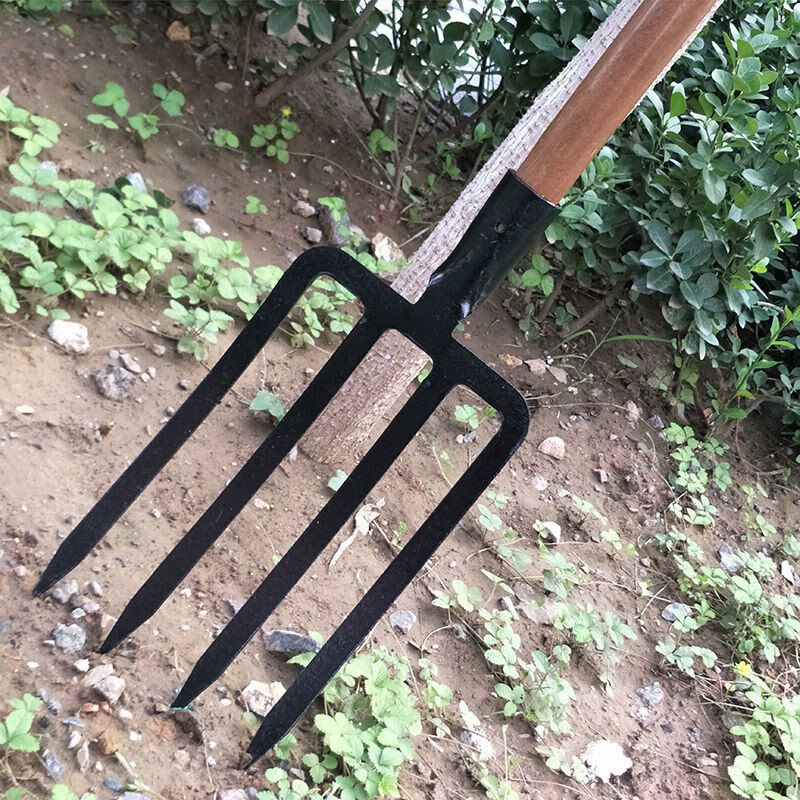 农用工具松土叉子翻地神器四股钢叉四齿锰钢省力挖大葱叉开荒翻土