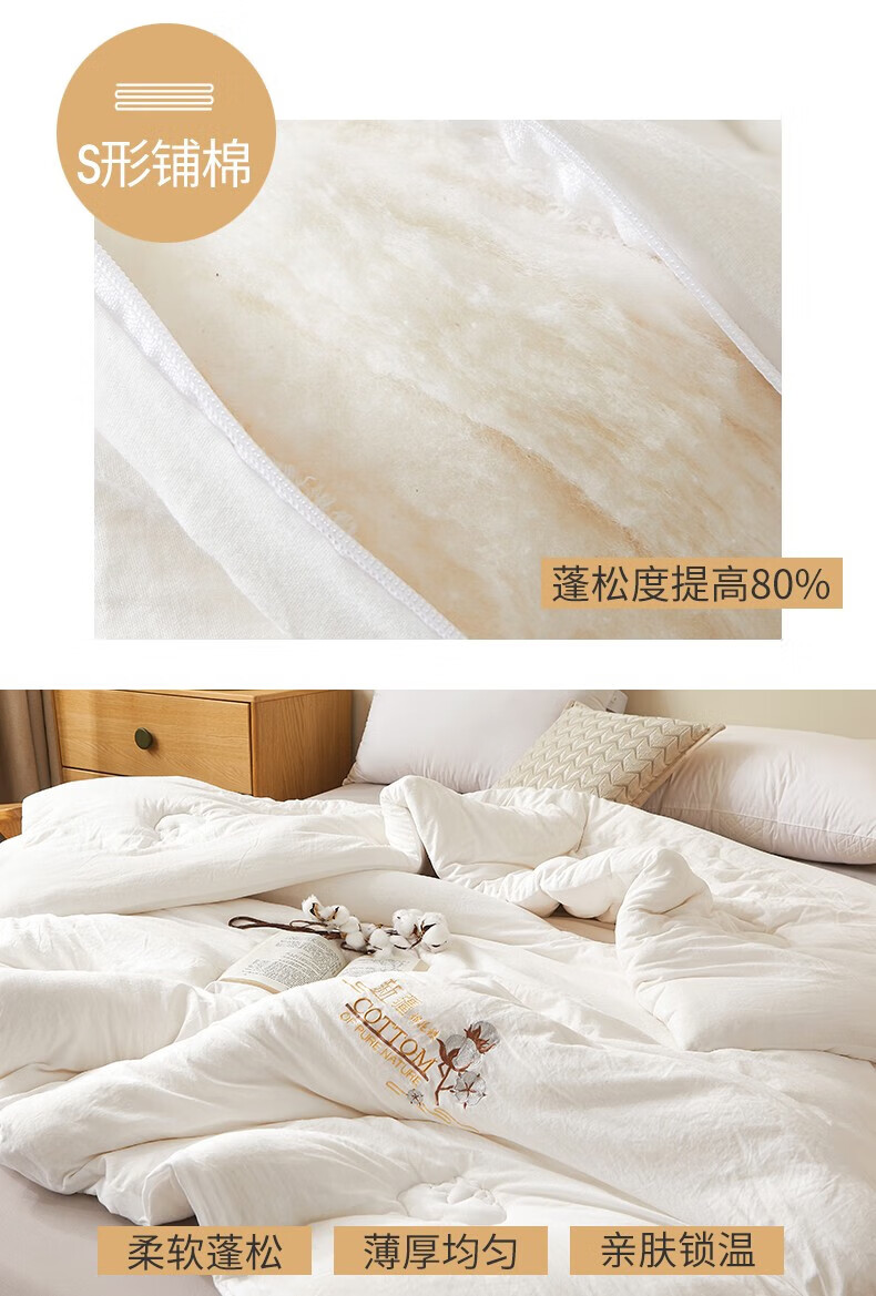 458d8969769e897d.jpg