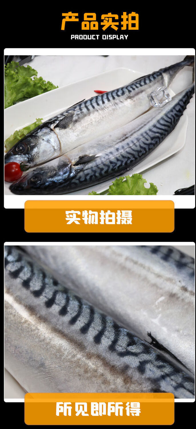 青花鱼船冻青花鱼冷冻海鲜水产海鱼青鱼鲐鱼青花鱼4斤56条装