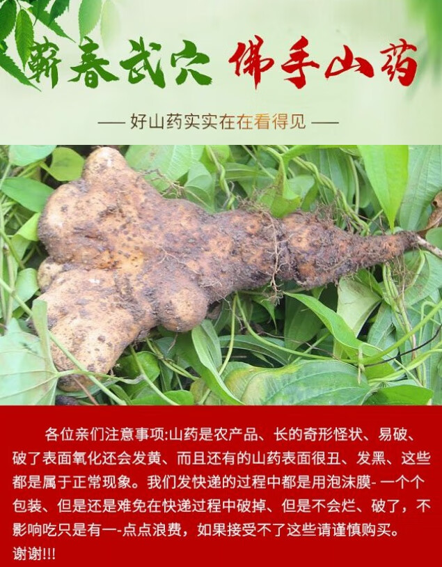 湖北黄冈浠水武穴蕲春特产农家现挖佛手新鲜手掌山药煲汤食材蔬菜 5斤