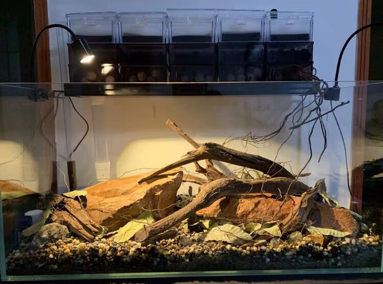 逸乐宠沉木紫柚木条形南美缸雨林森林造景骨架流木珊瑚木水草缸枝条