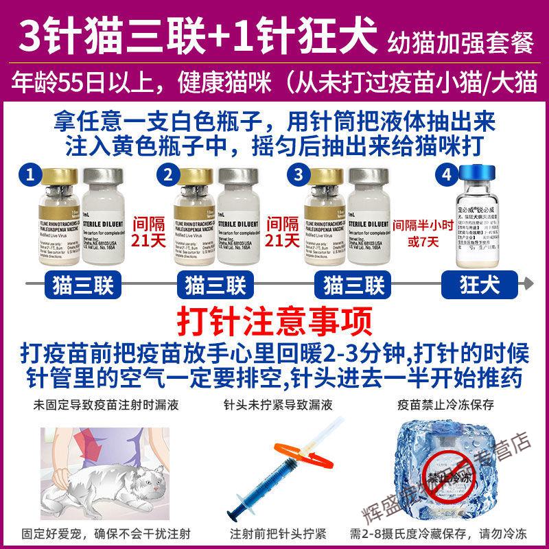 【京选推荐】猫三联疫苗幼猫大猫瘟猫鼻支病毒育苗小猫咪3联针 猫三联