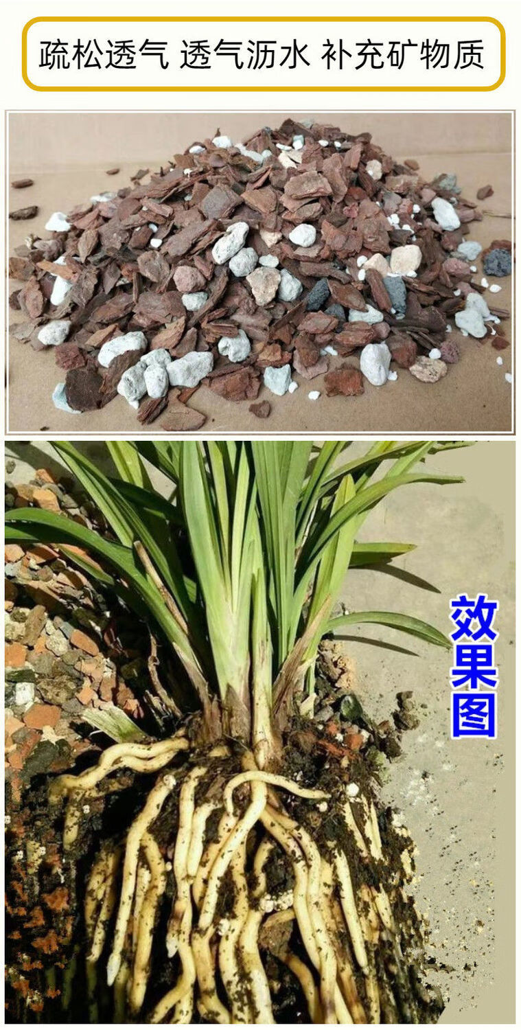 蝴蝶兰最简单的营养土(蝴蝶兰最简单的营养土怎么配)