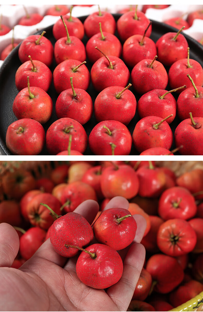 小山楂果新鲜2斤3斤装鲜山楂现摘特级小山楂山里红果糖葫芦山渣干片用