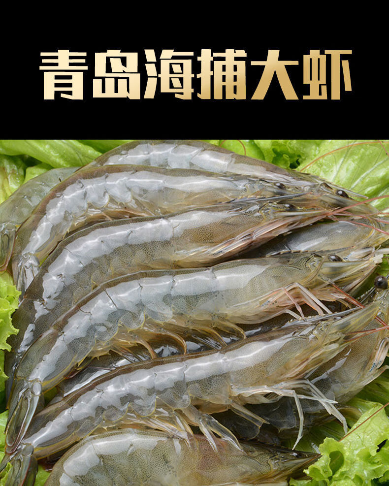 中国最大的虾图片