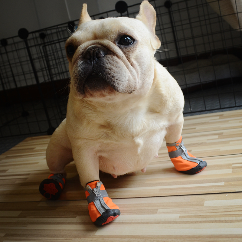 法斗雨鞋 狗狗鞋子防水鞋小狗鞋宠物比熊小型犬泰迪法斗鞋防抓防脏
