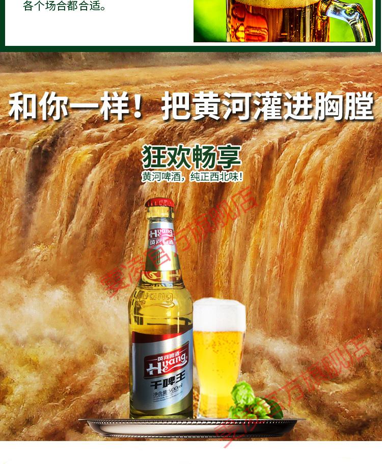甘肃兰州特产黄河干啤王啤酒低糖低度黄啤酒500ml瓶装罐装12罐500ml