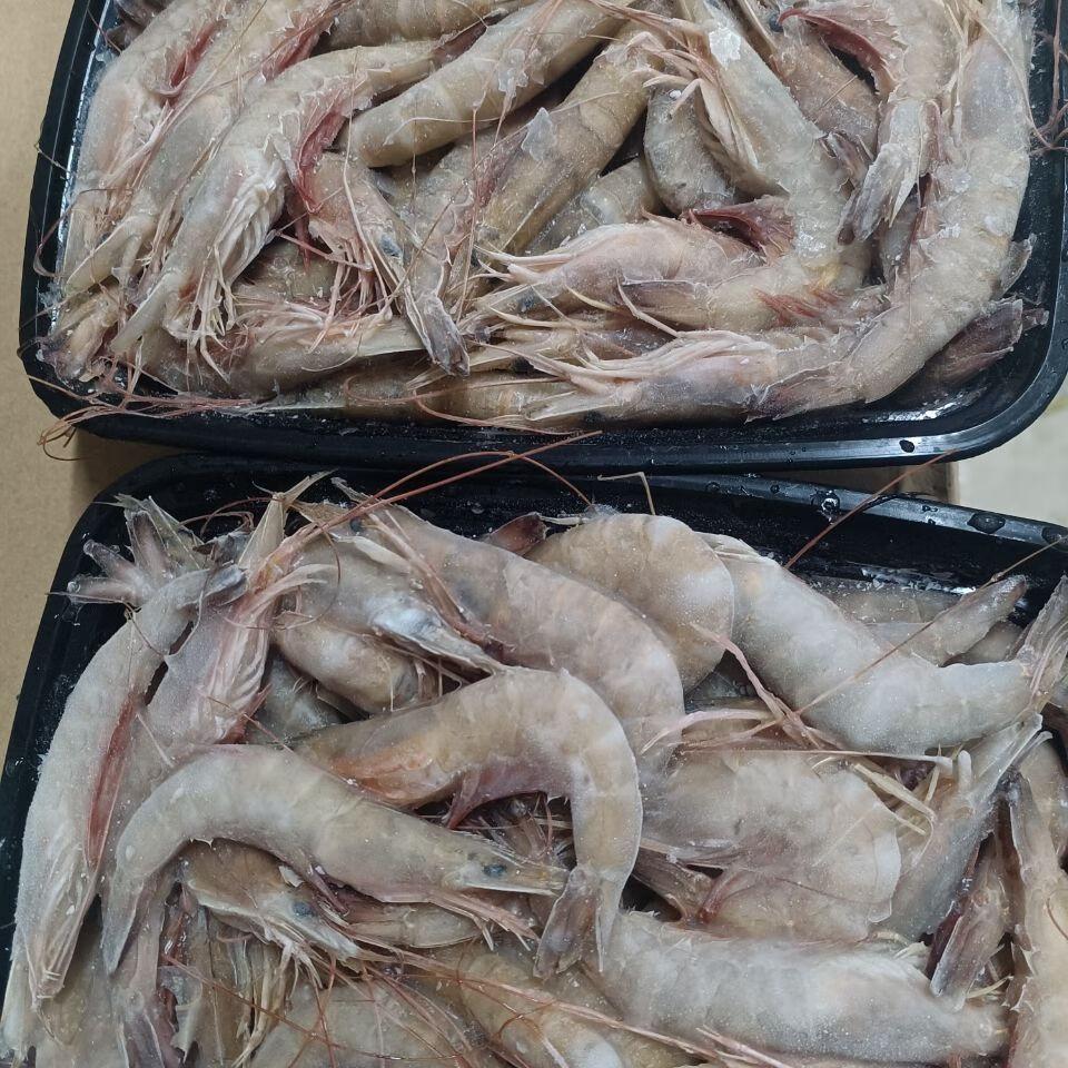 lism野生海鲜纯野生海虾红须厚壳虾深海捕捞鲜活速冻虾野生红须虾80只