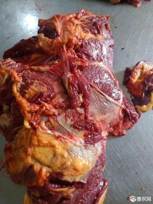 马肉新鲜马肉驴肉牛肉羊肉肋条排骨腱子肉马腿肉熏马肠马肉3斤装