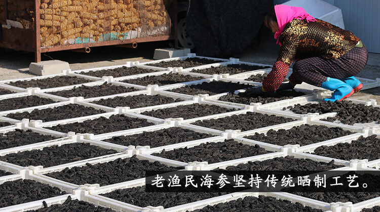 9年野生海参干货半斤老渔民淡干大连海参礼盒冠季九年海渗辽参刺参