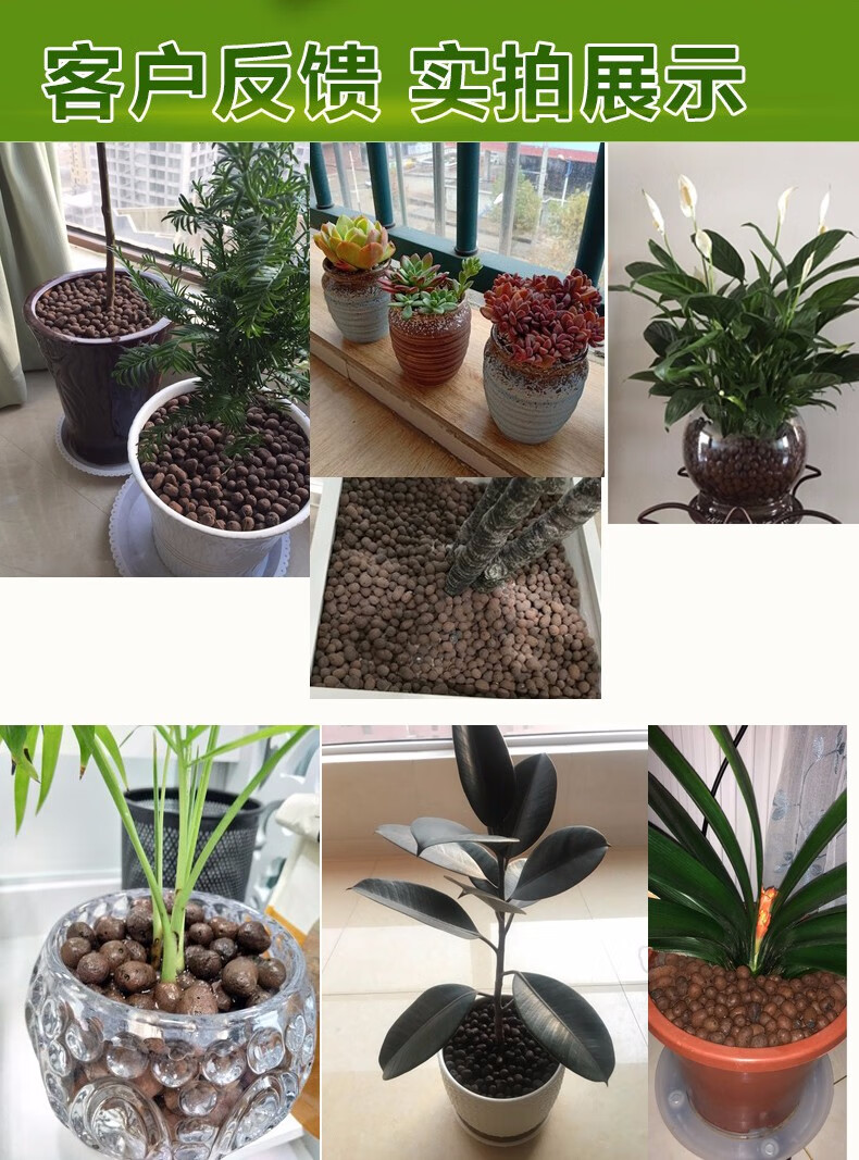 种花陶粒蛭石陶粒营养土营养液肥料多肉植物基质育苗块园艺用品大号