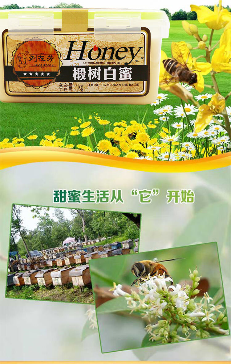 刘氏蜂产品刘在芳结晶椴树蜜雪蜜白蜜巢蜜东北野生蜂蜜1000g