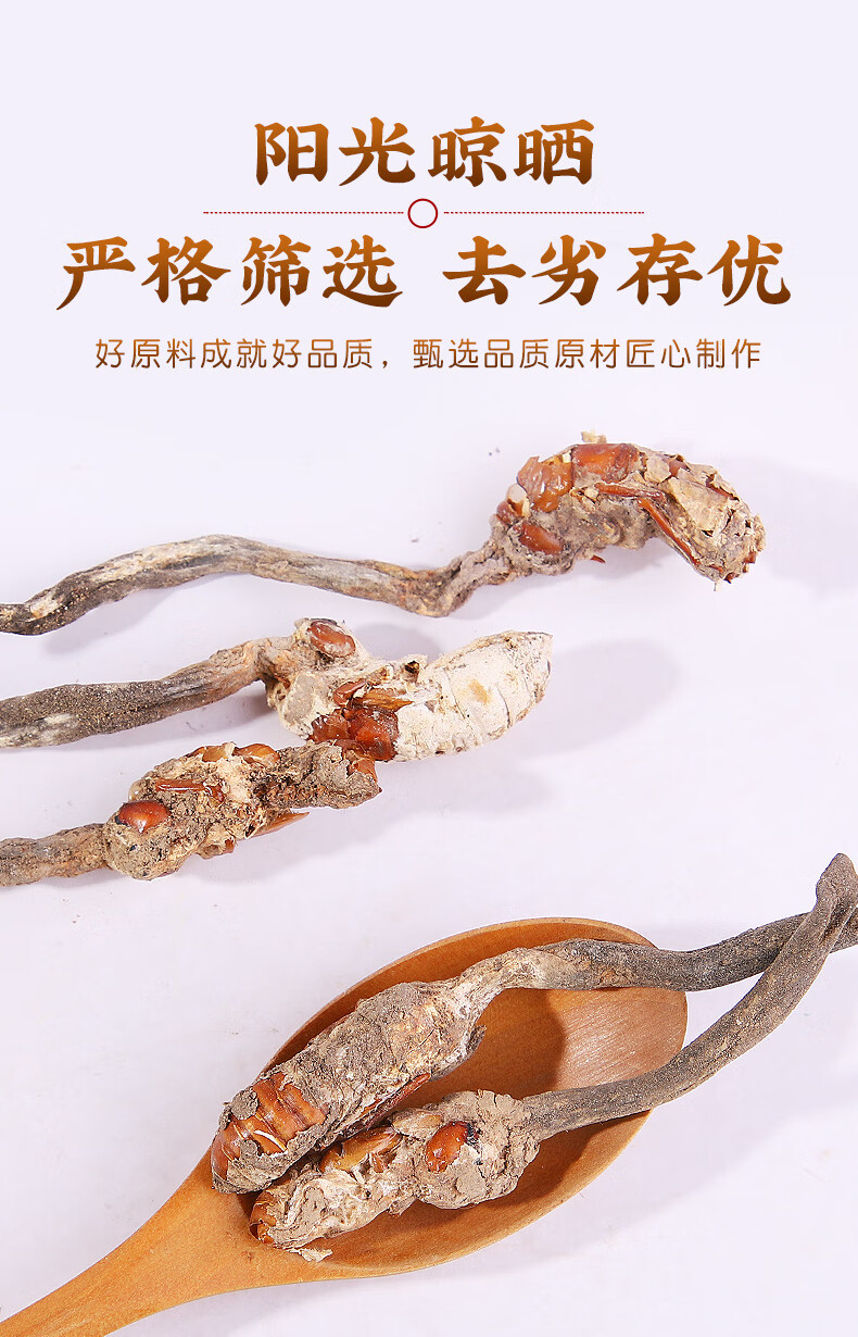 同仁堂精选金蝉花500克独角金蝉花正宗蝉公蝉蛹草饱满带花虫花500g