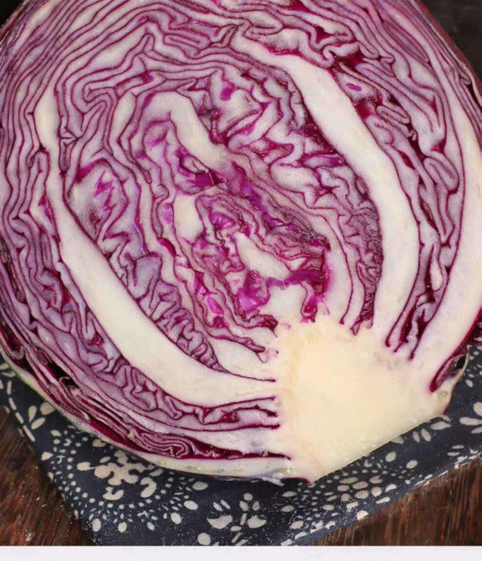 【现摘现发】新鲜蔬菜紫甘蓝卷心菜包球生菜当季包心菜沙拉食材3/5斤