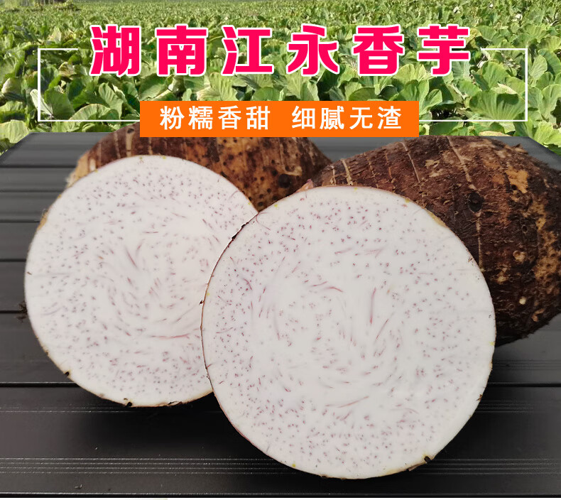 现挖现发正宗湖南特产江永香芋新鲜芋头现挖粉糯毛芋头槟榔芋芋艿特大