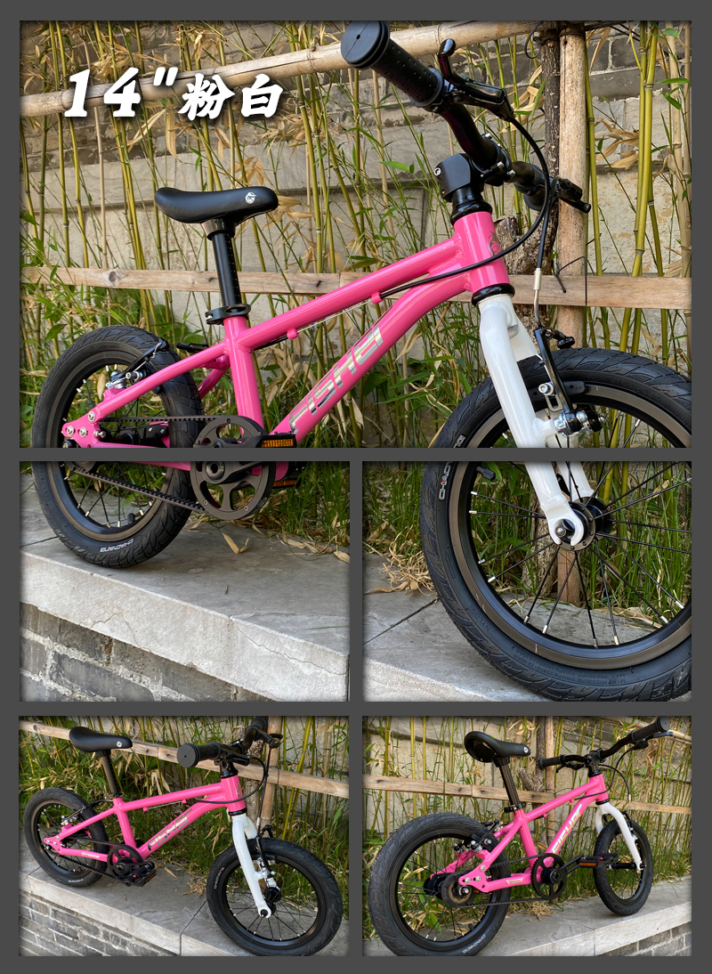飞鱼儿童自行车飞鱼超轻儿童自行车单脚踏车户外运动踏青学生14-20寸