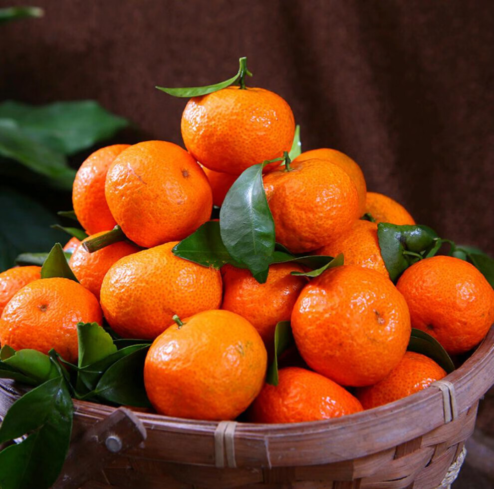 广西砂糖桔新鲜水果金秋沙塘桔当季小橘子甜整箱5斤精选好果