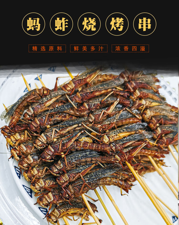 蚂蚱串 烧烤串油炸食材蝗虫串冷冻半成品家庭商用小吃华海春 1串8只*1