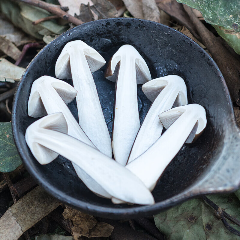 恬女神现货新鲜黑皮鸡枞菌云南特产精选鸡纵鸡棕菌菇菌子食用蘑菇500