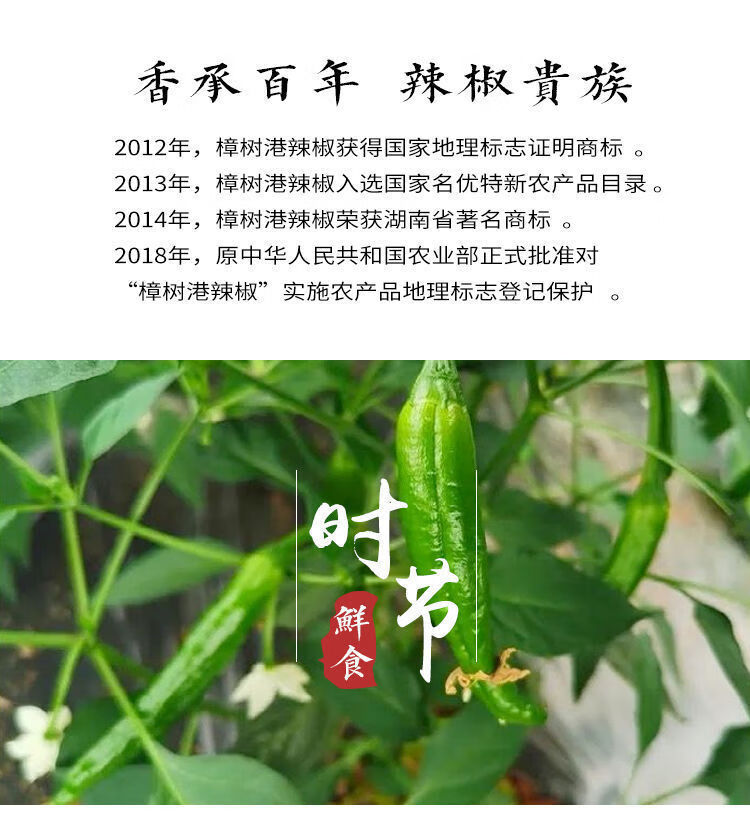 樟树港辣椒樟树港辣椒湖南新鲜富硒辣椒农家青辣椒岳阳特产新鲜现摘