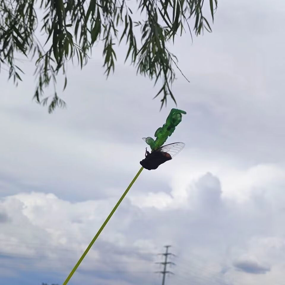 汐岩 捕蝉杆知了杆可伸缩超硬捕蝉神器抓知了猴杆捕蝉工具粘手粘球 11