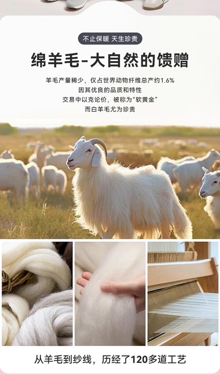 2fd50d992fe6a93c.jpg