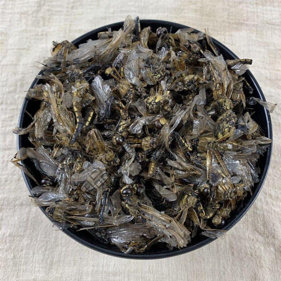 蜻蜓中药材绿头大蜻蜓大蜻蜓蜻蛉马大头青娘子新货泡酒料官方直营蜻蜓