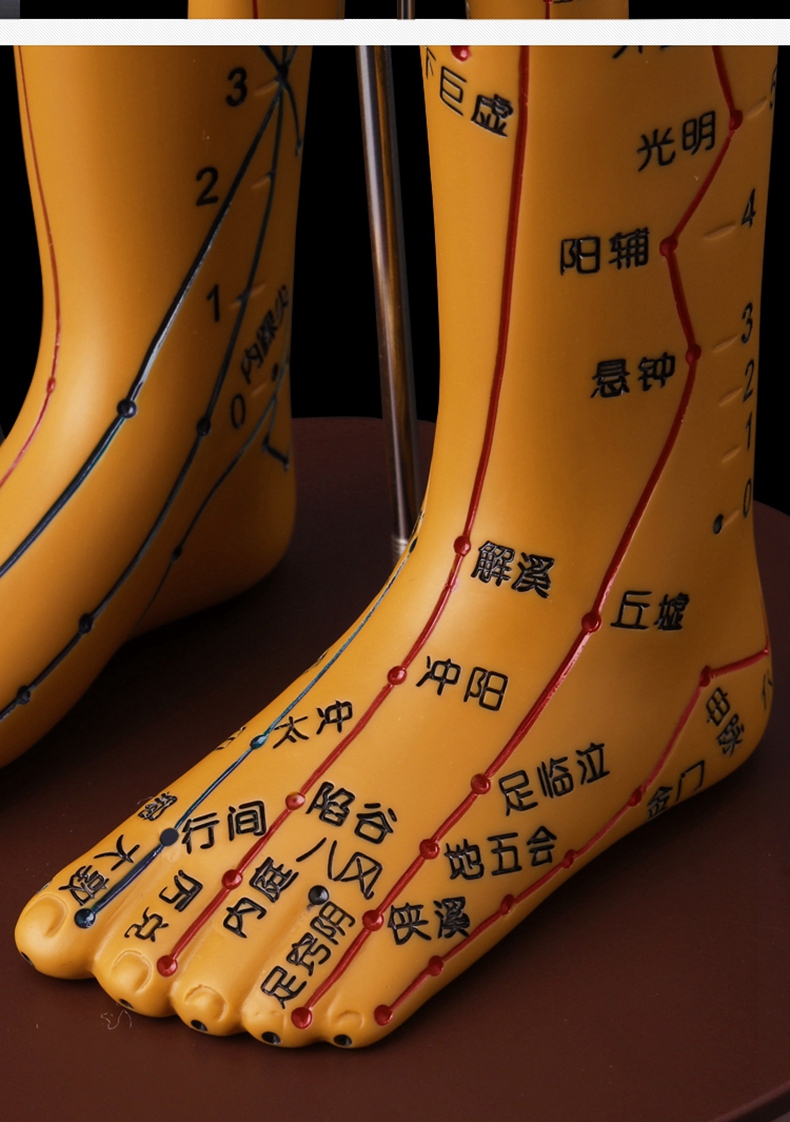 中医针灸人体穴位模型人体经络穴位图十二可扎针练习教学小铜人铜色