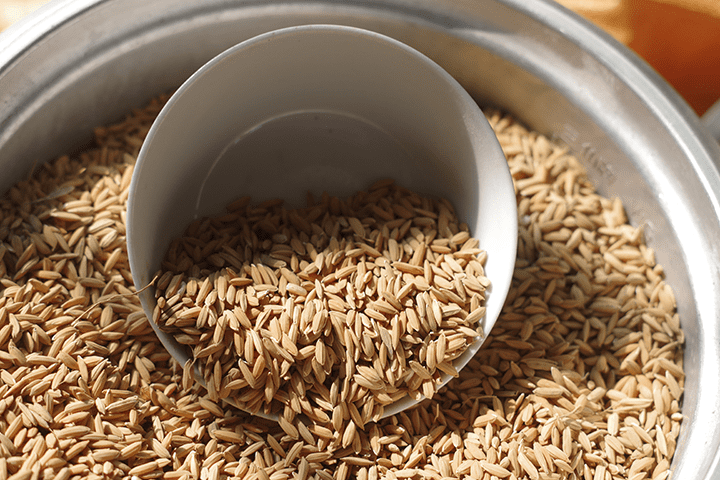 农家鸡鸭食稻谷喂鸡谷子带壳水稻鸟食鸽饲料鸡稻子粮食仓鼠粮大粒谷3