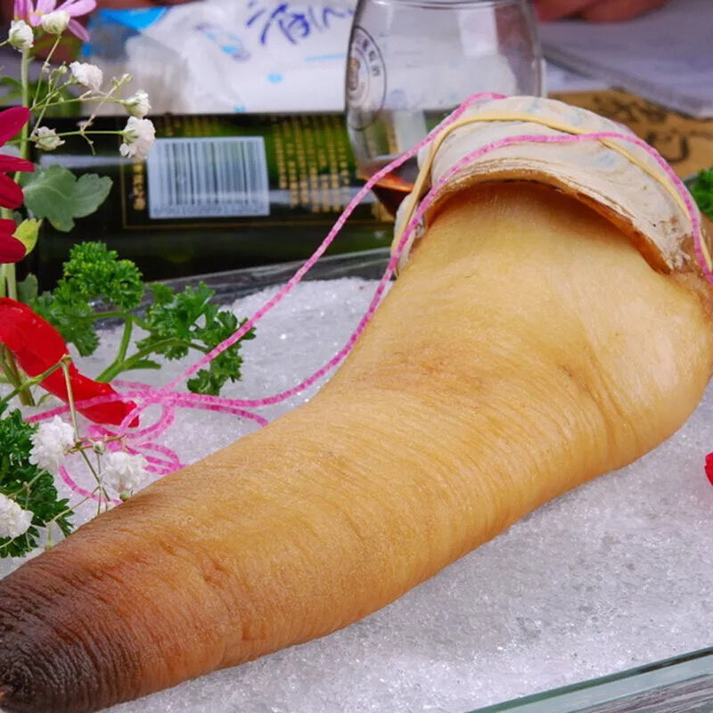 正宗象拔蚌鲜活刺身水产肉质细腻象牙蚌 800g---900g/只【图片 价格