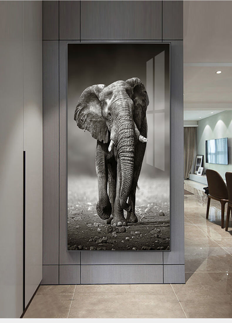 玄关装饰画进门抽象大象竖版晶瓷画现代轻奢走廊尽头挂画大气壁画 d7