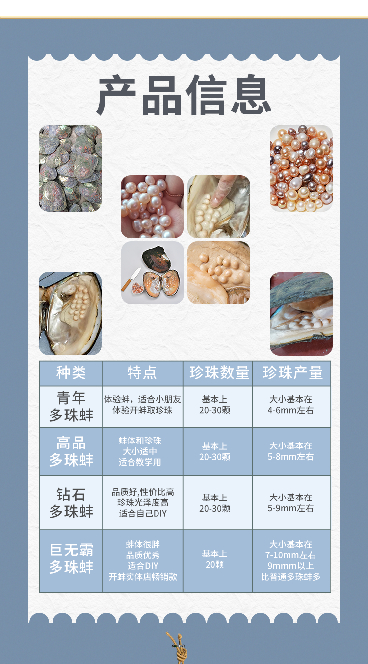 新宠天然淡水珍珠蚌自己开壳活体河蚌爱迪生取珍珠单珠