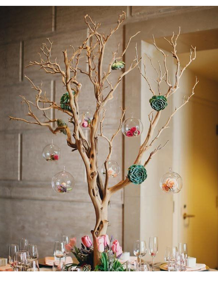 5米 不不 干树枝【图片 价格 品牌 报价】-京东