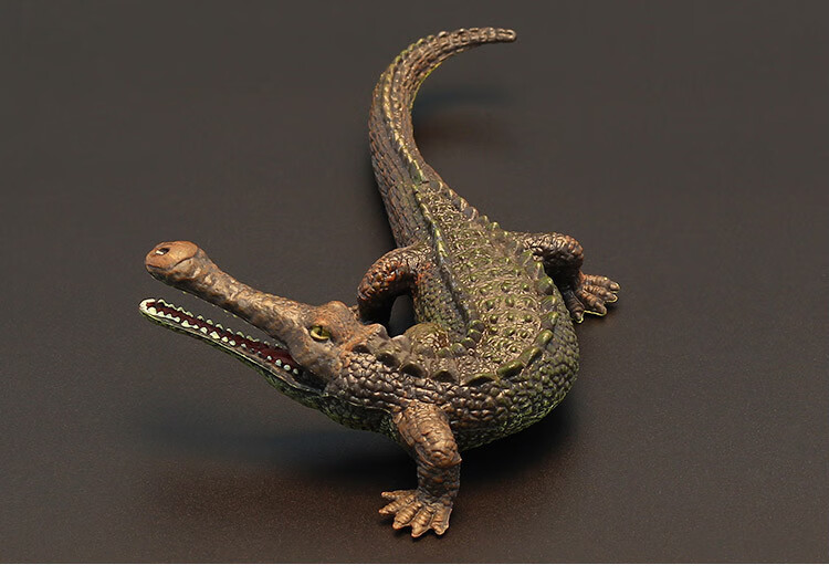 猫乐鱼儿童实心动物玩具模型远古帝鳄史前野猪鳄尼罗短吻鳄大鳄鱼美洲