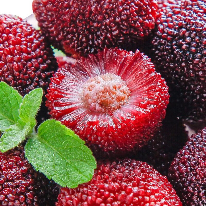 全圣德冰杨梅 50g*20袋 农特产即食零食冰镇杨梅夏日清凉 空运到家