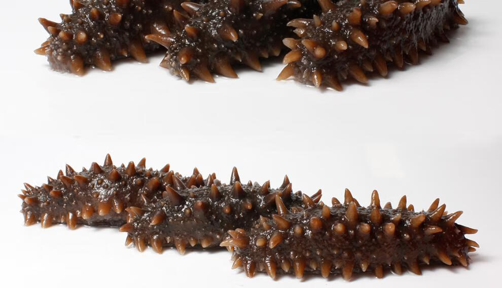 俄罗斯大红海参进口红参干货楼上关东参日本北海道关东刺参