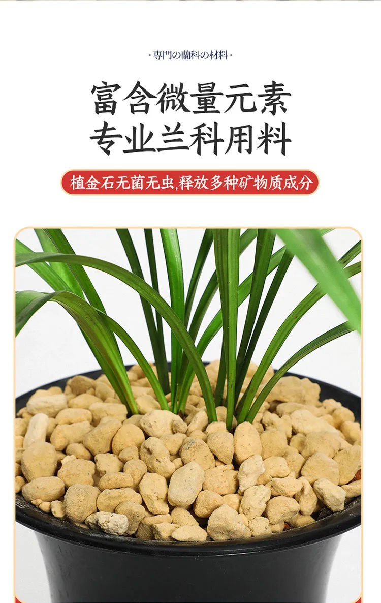 植金石颗粒兰花铺面专用植料盆面透气石装饰多肉兰石囧仙子1017毫米植