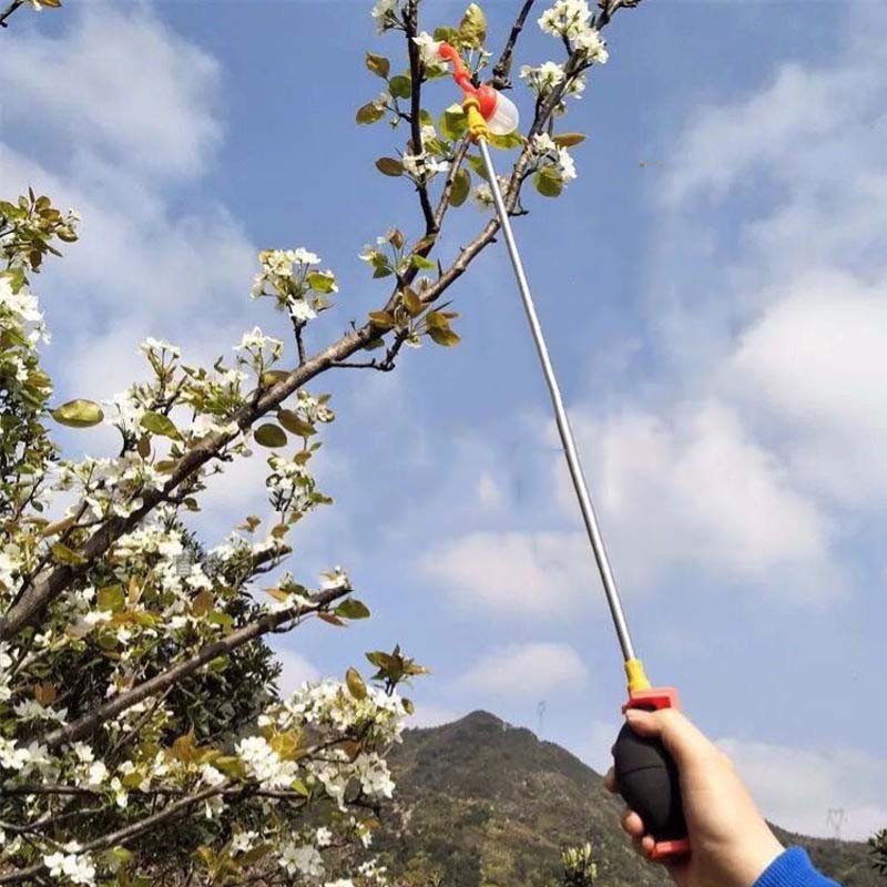 新款果树花粉授粉器 桃树梨树猕猴桃西红柿番茄杆式点花授粉器 授粉器