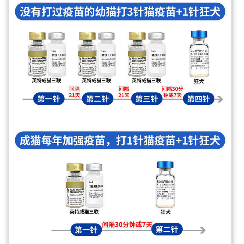 京东推荐持证经营荷兰英特威猫三联疫苗狂犬疫苗套装小猫针幼猫成猫防