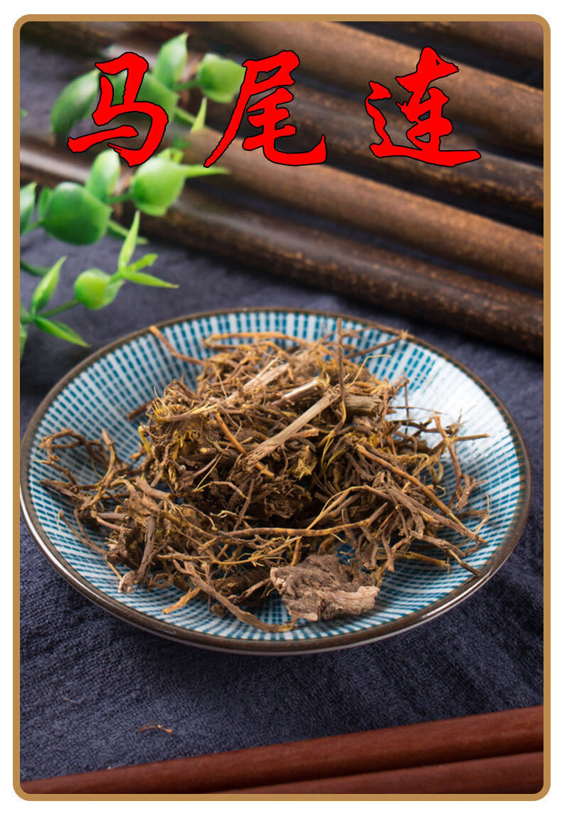 马尾莲中药材马尾连马尾黄草黄连唐松草金丝黄连马尾莲250克