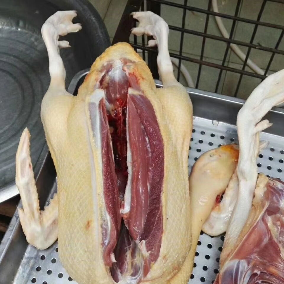 农家散养番鸭红头鸭西洋鸭鸳鸯新鲜活体现杀现发生鲜整只鸭肉藤鸭杀好