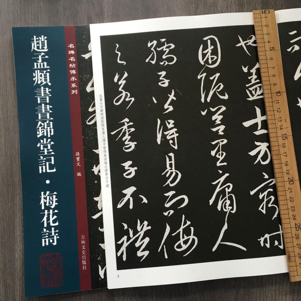 赵孟頫书昼锦堂记梅花诗孙宝文编赵孟頫行书毛笔书法字帖原碑全文附