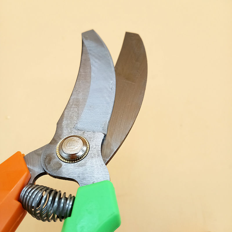 田老三大蒜剪大蒜剪杆 剪须神器 专用不锈钢大蒜剪刀大蒜专用剪刀