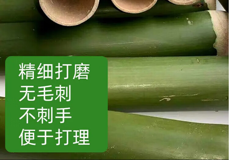 3a34002ce36f460f.jpg