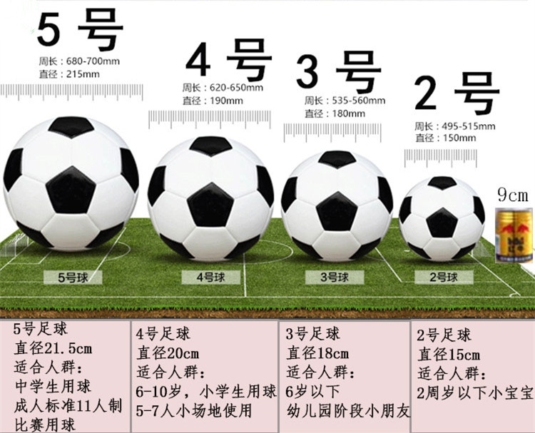 领利豪儿童中小学生3号4号5号足球幼儿园球赛中考训练足球耐踢2号随机