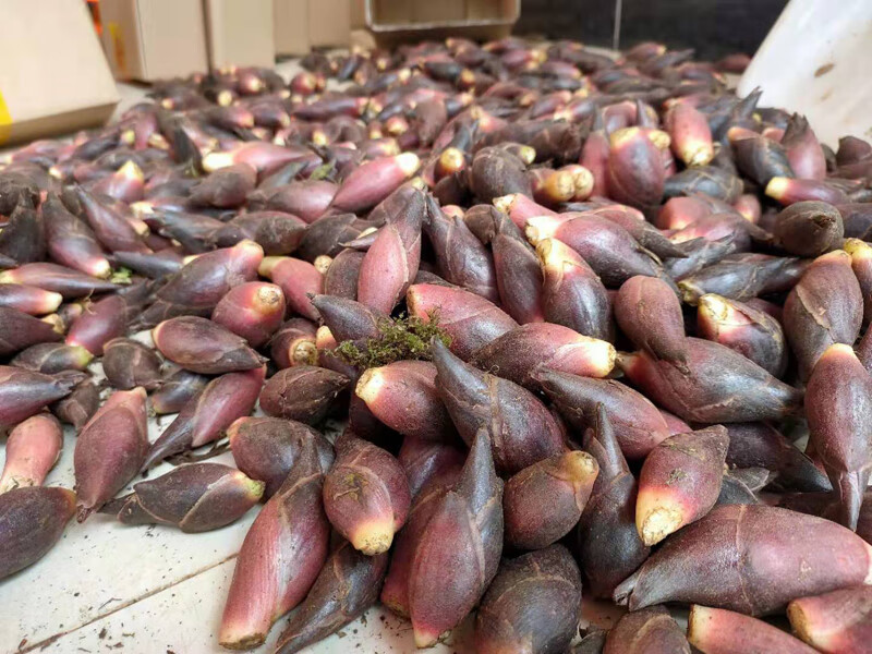 大地果缘 新鲜洋荷姜 阳荷姜5斤野生 洋河阳和姜洋火阳藿盐荷洋胡姜当