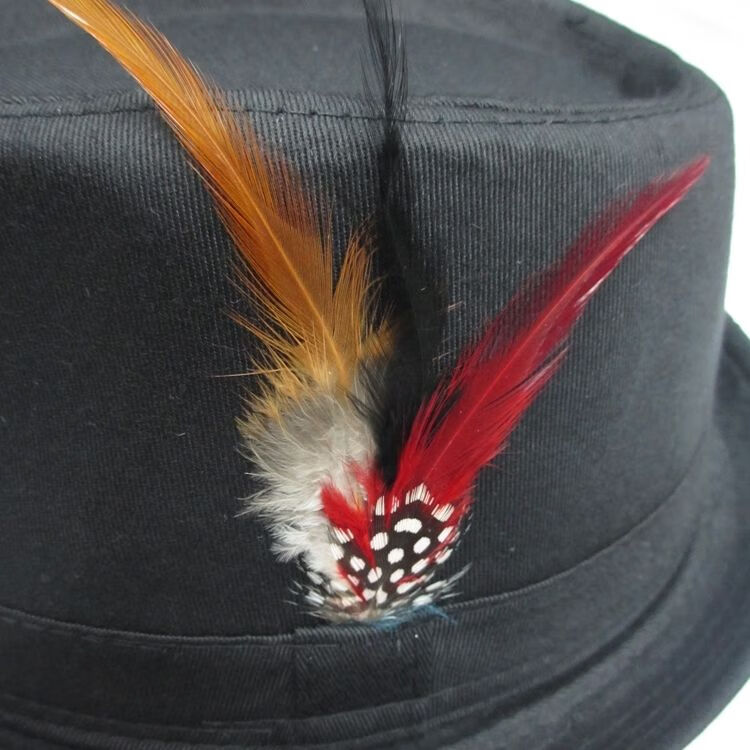 lucaly男绅士英伦风格帽子羽毛绅士礼帽男女时尚造型文艺舞蹈表演可